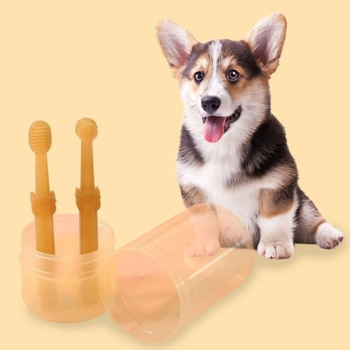 Complete Pet Dental Care Kit
